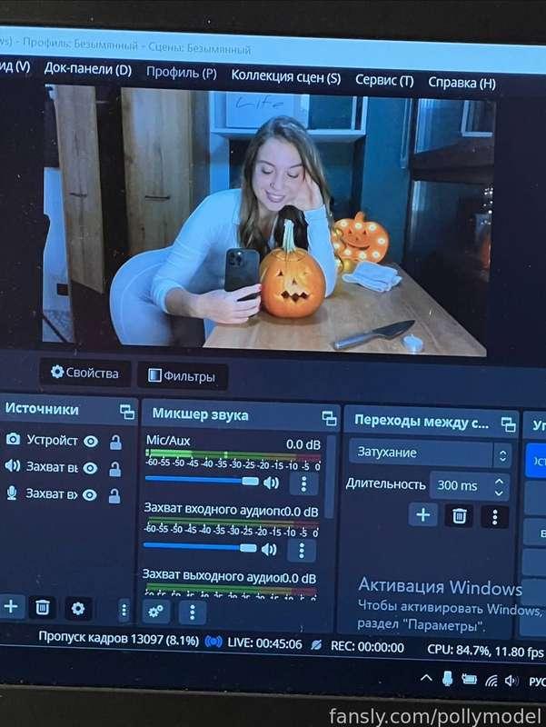 pollymodel image #3
