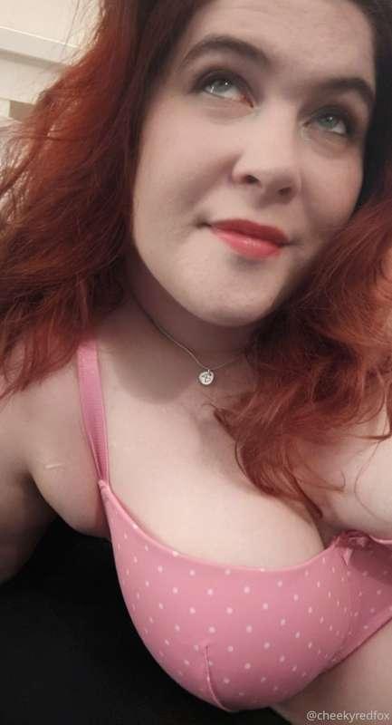 cheekyredfox image #0
