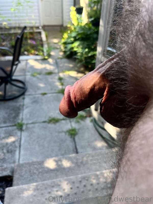 m1dwestbear image #17