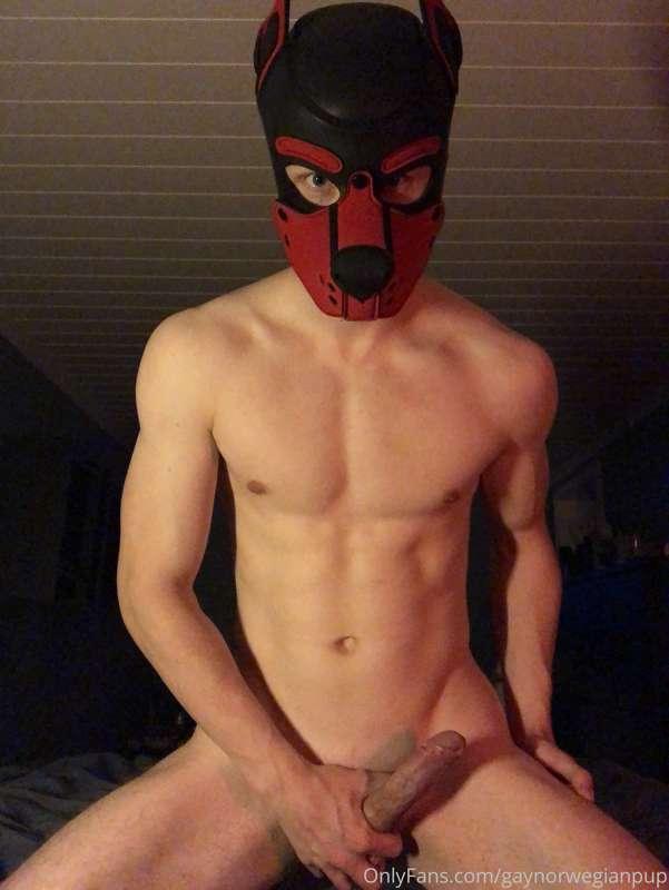 Who’s gonna play with Alpha’s bone?😏