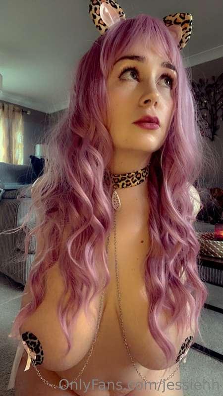 Purrr 😺