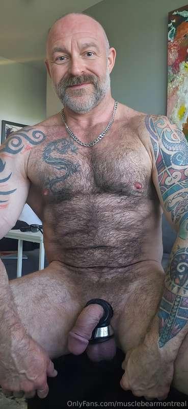 musclebearmontreal image #1