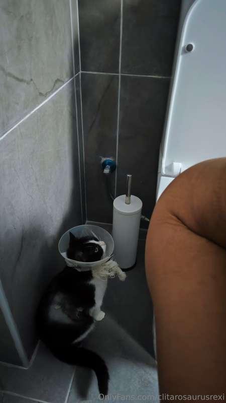 Today I'm taking Vixy to another vet visit. Hopefully she'll..