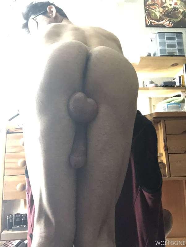 I feel like lifting tail today for a stud. Could it be you?