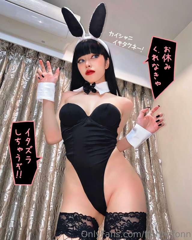 🐰
