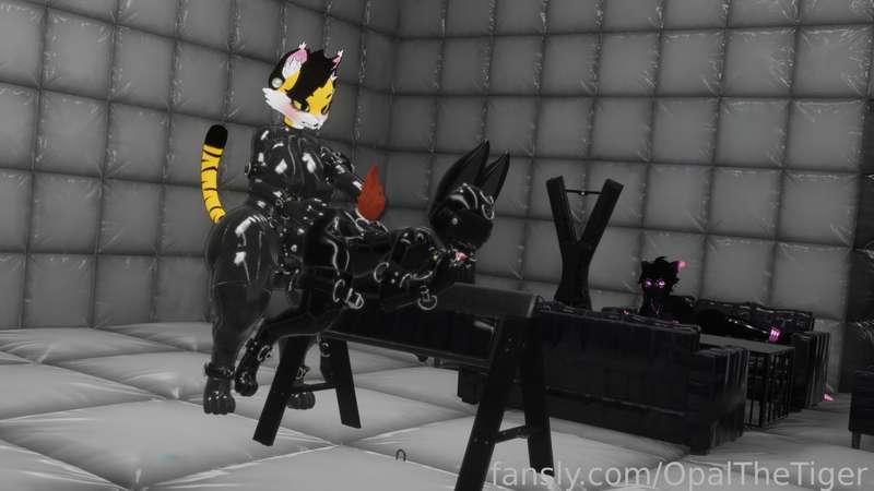 opalthetiger image #4