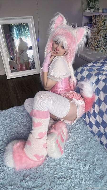 indigowhite image #62