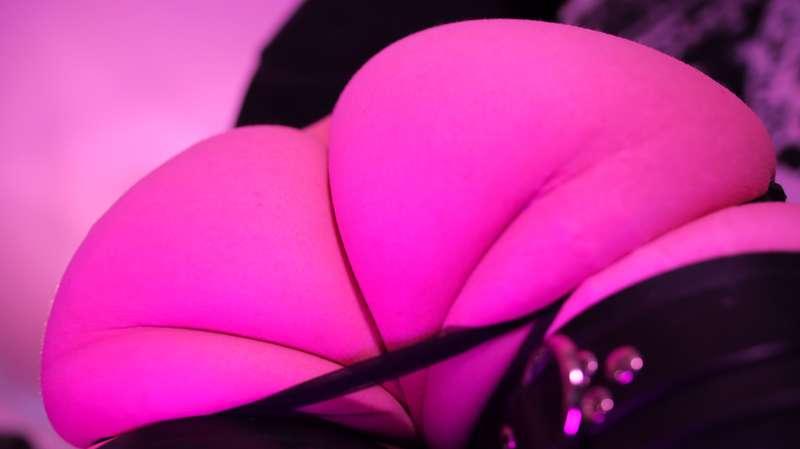 thedissounds image #56