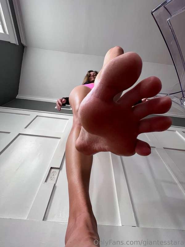 giantesstara image #1
