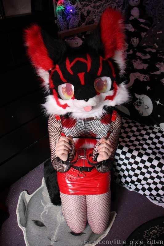 little_pixie_kitten image #7