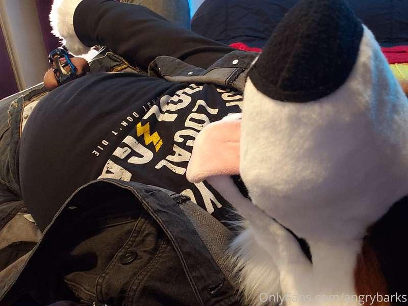angrybarks main image