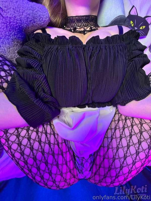 lilykoti image #2