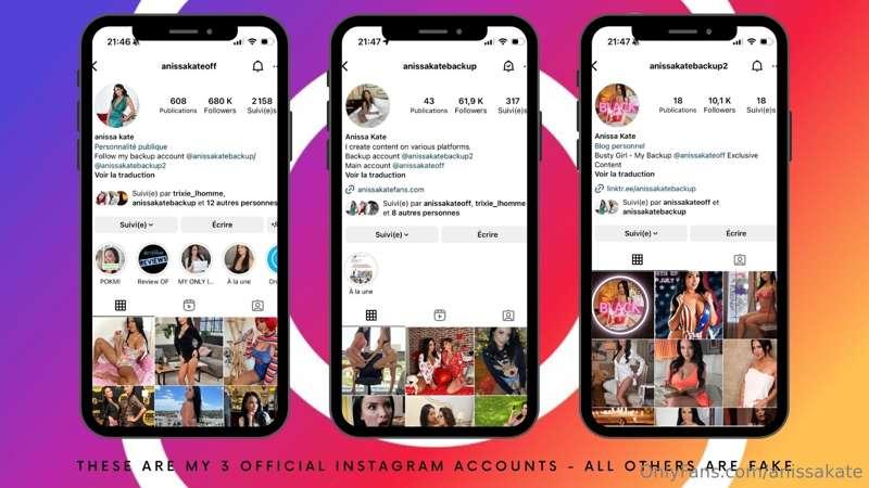 These are my 3 instagram official accounts - all others are ..