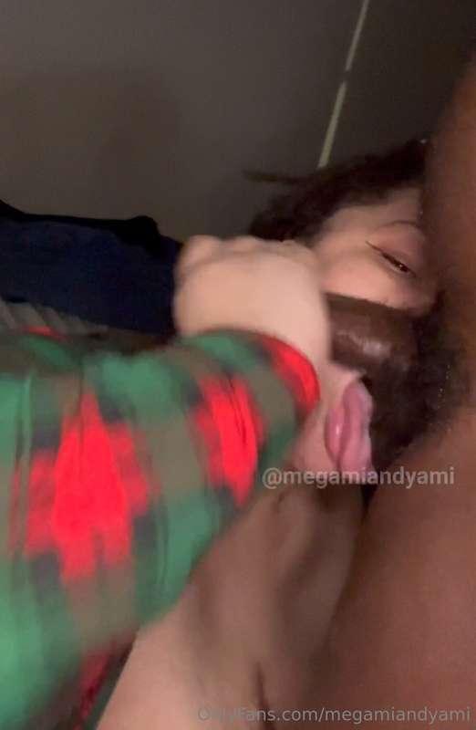 megamiandyami image #0