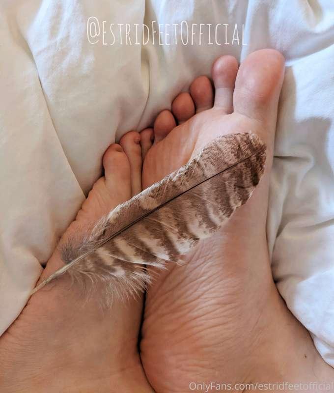 I have quite ticklish feet and I love feathers for their lig..