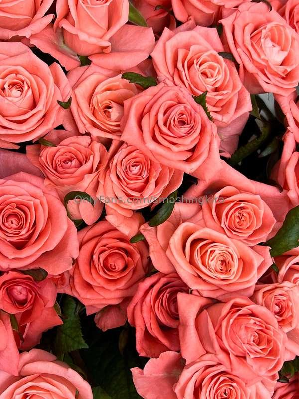 Happy Women's Day ❤️
I'm enjoying the flowers today! It's so..