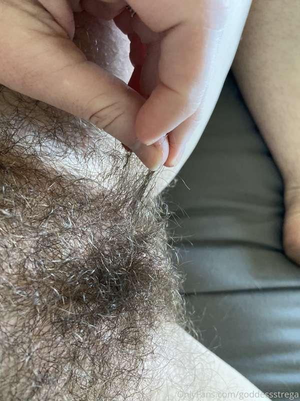 A little Sunday morning bush 🖤