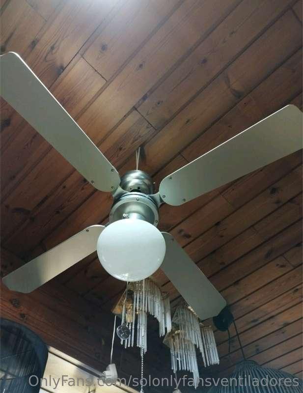 Wooden cabin fan 🛖