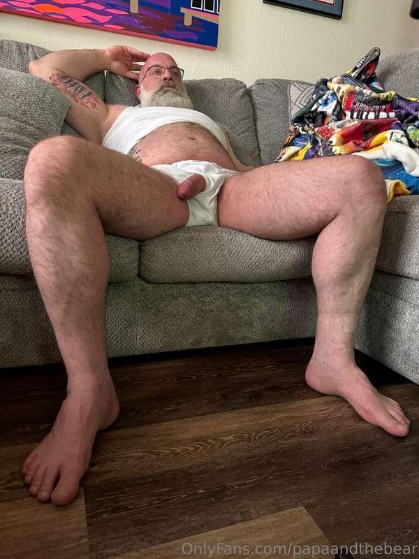 papaandthebear image #0