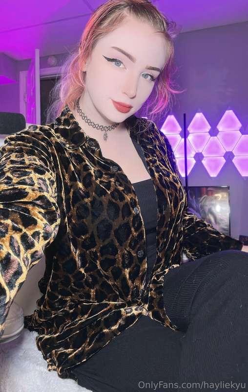 hayliekyu main image