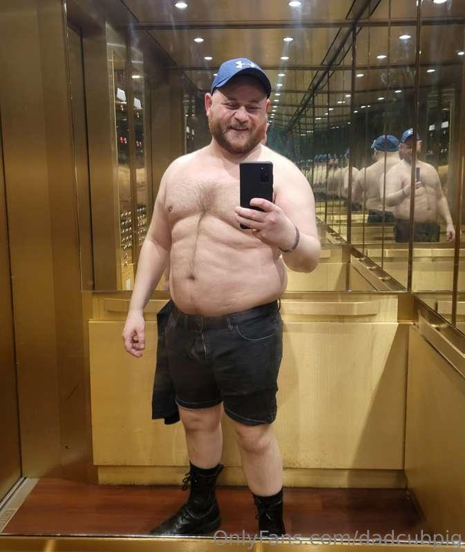 dadcubpig image #4