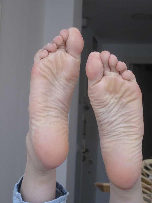 neolasoles image #12