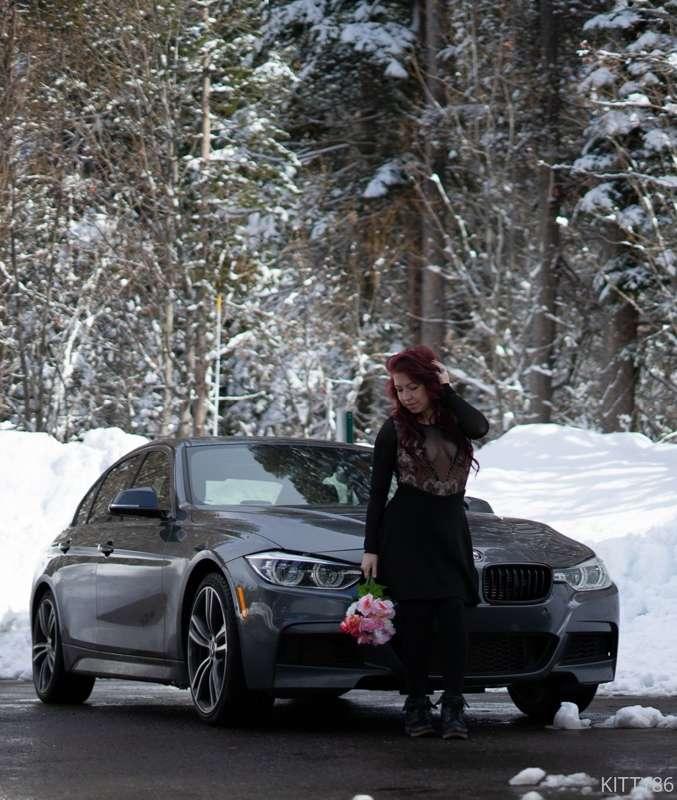 duchess_kitten image #8