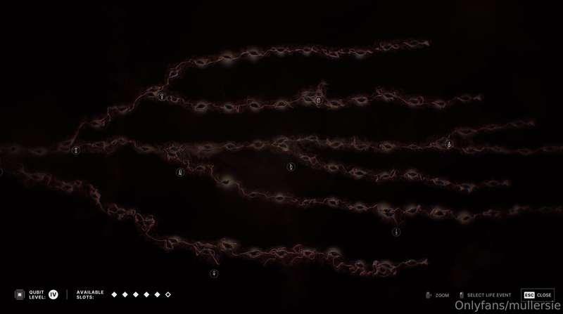 mullersieof image #1