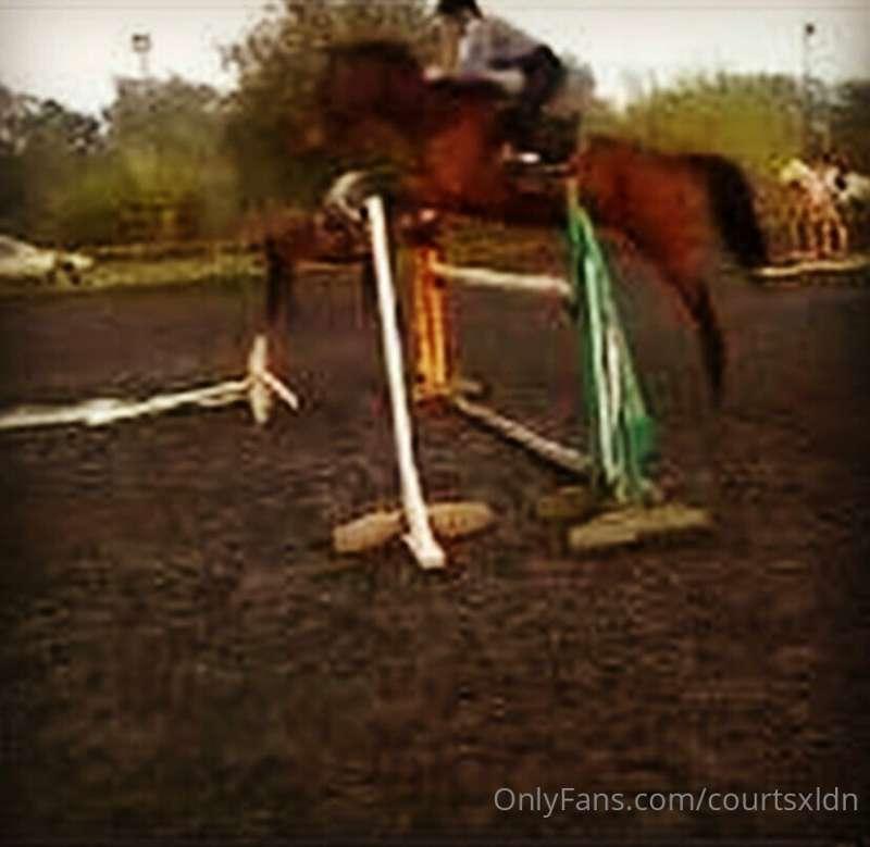 My 🐎 ☺️Prince 👑