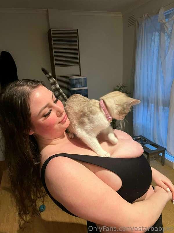 Meowww! I can literally carry anything on my boobs 🙊 is ther..