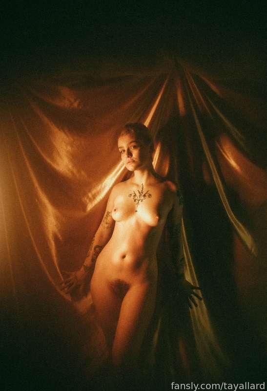 tayallard image #6