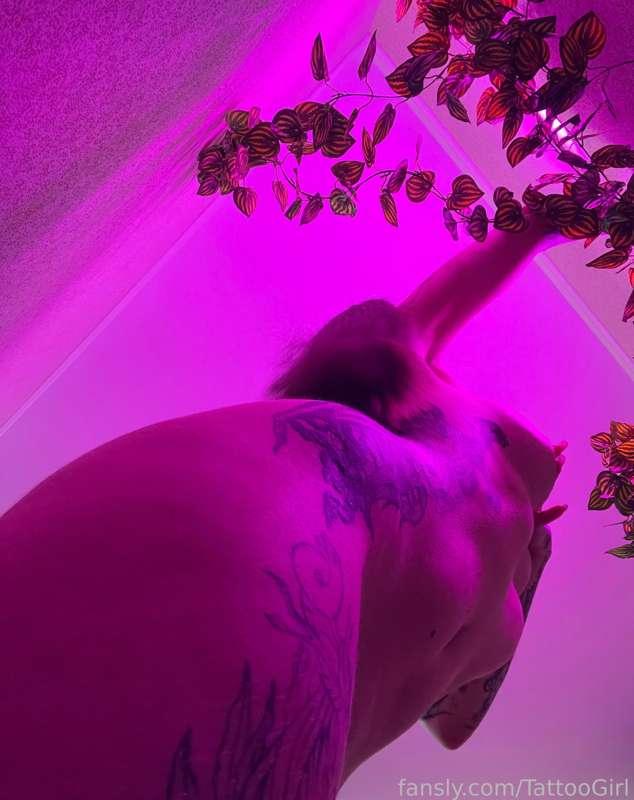 tattoogirl image #1