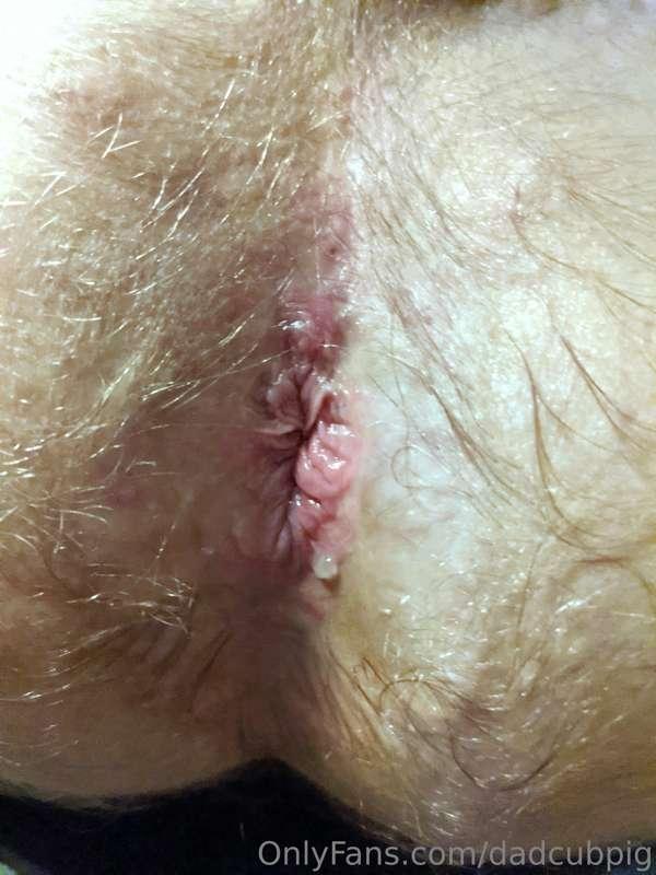 dadcubpig image #0