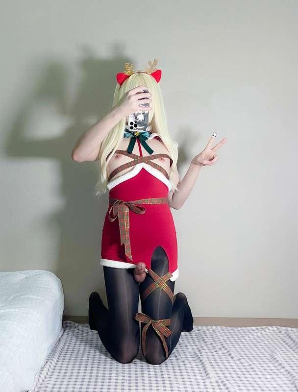 mocanya image #1