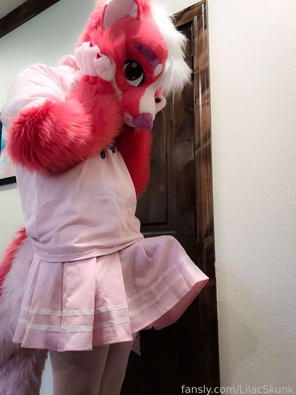 lilacskunk image #10