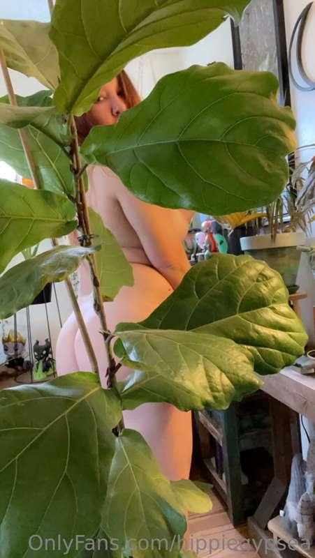 It’s World Naked Gardening Day 
Enjoy 🌱😊