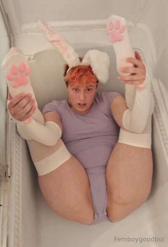 brattypuppybite image #1