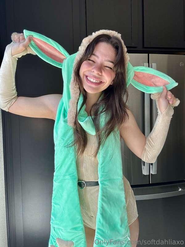 softdahliaxo image #0