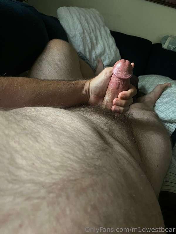 m1dwestbear image #1