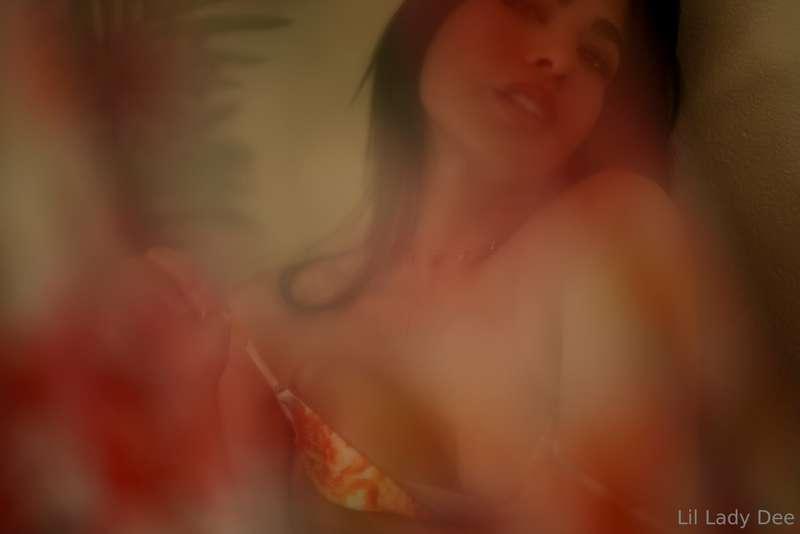 lilladydee image #5