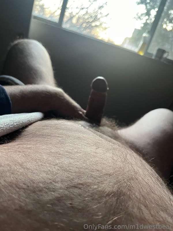 m1dwestbear image #3