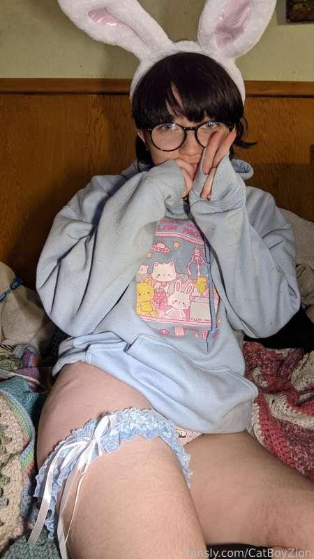 catboyzion image #0