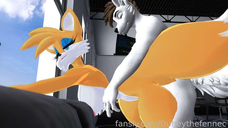 duheythefennec image #28