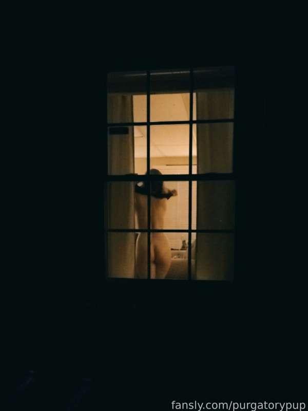 purgatorypup image #1
