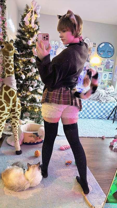 indigowhite image #10