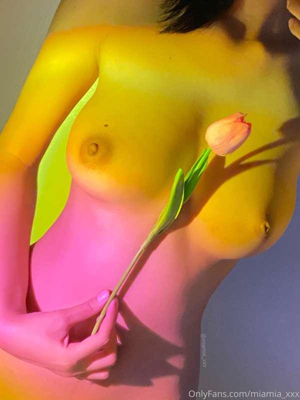 🌷✨