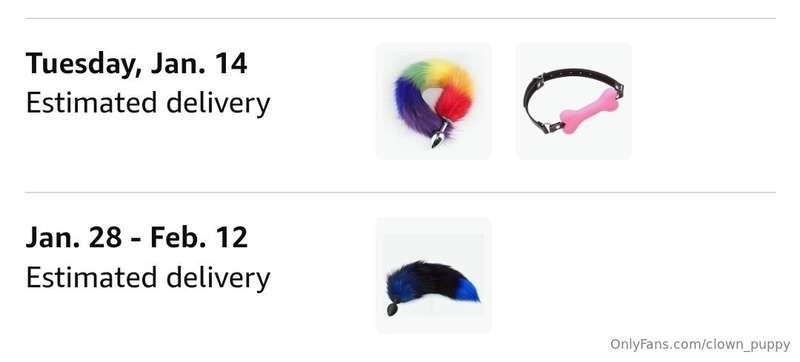 Someone got me some tails to go with my puppy ears 👀 These a..