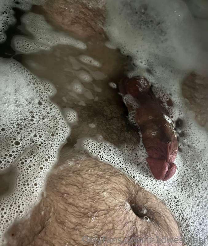 m1dwestbear image #3