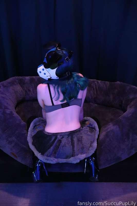 succupuplily image #43