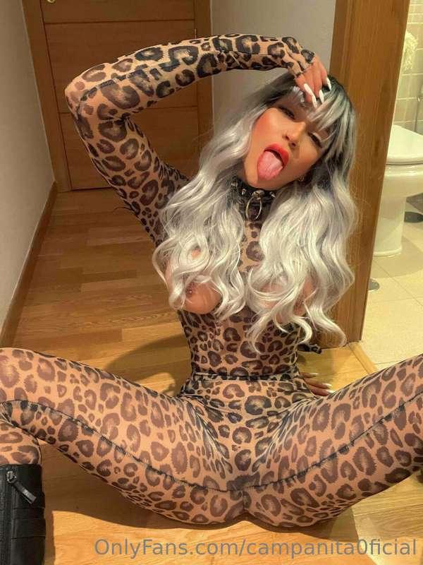 Want to play with this kitty, come to the chat!🥵